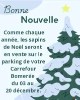 🎄Vente de sapins de Noël 🎄
